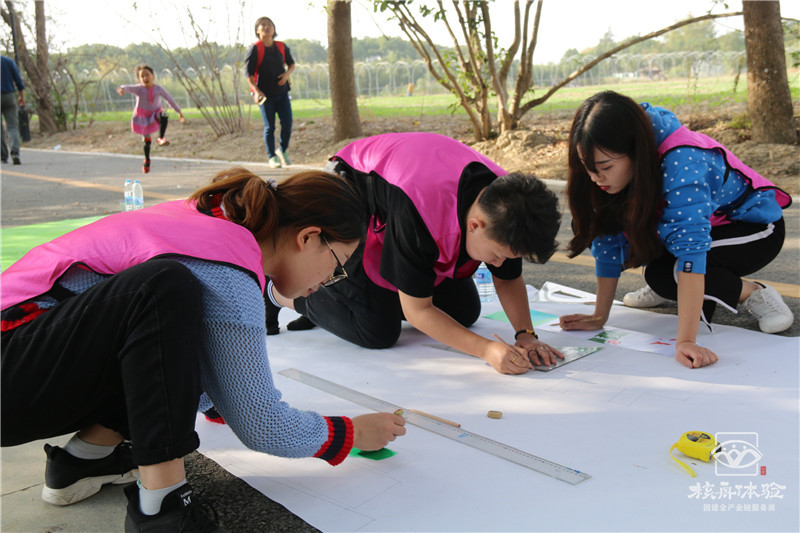 迪揚蘇州2019年“帥虎狼之師 鑄精英團隊”主題戶外拓展活動
